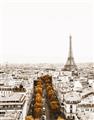 Picture of Touch of Mustard in Paris _GroupedProduct_Rectangle_Portrait_Photography _GroupedProduct_Rectangle_Portrait_Unframed_Print_Only_