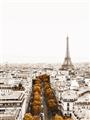 Picture of Touch of Mustard in Paris _GroupedProduct_Rectangle_Portrait_Photography _GroupedProduct_Rectangle_Portrait_Unframed_Print_Only_