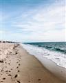Picture of Walking the Shoreline  _GroupedProduct_Rectangle_Portrait_Photography _GroupedProduct_Rectangle_Portrait_Unframed_Print_Only_