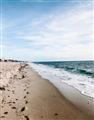 Picture of Walking the Shoreline  _GroupedProduct_Rectangle_Portrait_Photography _GroupedProduct_Rectangle_Portrait_Unframed_Print_Only_