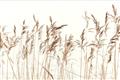 Picture of Wheat in the Wind IV _GroupedProduct_Rectangle_Landscape_Photography _GroupedProduct_Rectangle_Landscape_Unframed_Print_Only_