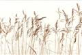Picture of Wheat in the Wind IV _GroupedProduct_Rectangle_Landscape_Photography _GroupedProduct_Rectangle_Landscape_Unframed_Print_Only_