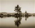 Picture of Mirrored Water _GroupedProduct_Rectangle_Landscape_Photography _GroupedProduct_Rectangle_Landscape_Unframed_Print_Only_