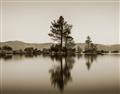 Picture of Mirrored Water _GroupedProduct_Rectangle_Landscape_Photography _GroupedProduct_Rectangle_Landscape_Unframed_Print_Only_