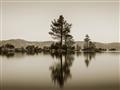 Picture of Mirrored Water _GroupedProduct_Rectangle_Landscape_Photography _GroupedProduct_Rectangle_Landscape_Unframed_Print_Only_