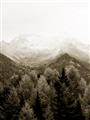 Picture of Mountaintop Views _GroupedProduct_Rectangle_Portrait_Photography _GroupedProduct_Rectangle_Portrait_Unframed_Print_Only_
