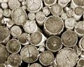 Picture of Stacked Logs _GroupedProduct_Rectangle_Landscape_Photography _GroupedProduct_Rectangle_Landscape_Unframed_Print_Only_