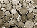 Picture of Stacked Logs _GroupedProduct_Rectangle_Landscape_Photography _GroupedProduct_Rectangle_Landscape_Unframed_Print_Only_