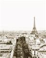 Picture of Touch of Mustard in Paris _GroupedProduct_Rectangle_Portrait_Photography _GroupedProduct_Rectangle_Portrait_Unframed_Print_Only_