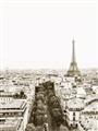 Picture of Touch of Mustard in Paris _GroupedProduct_Rectangle_Portrait_Photography _GroupedProduct_Rectangle_Portrait_Unframed_Print_Only_