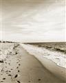 Picture of Walking the Shoreline  _GroupedProduct_Rectangle_Portrait_Photography _GroupedProduct_Rectangle_Portrait_Unframed_Print_Only_