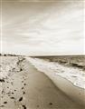 Picture of Walking the Shoreline  _GroupedProduct_Rectangle_Portrait_Photography _GroupedProduct_Rectangle_Portrait_Unframed_Print_Only_