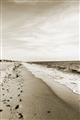 Picture of Walking the Shoreline  _GroupedProduct_Rectangle_Portrait_Photography _GroupedProduct_Rectangle_Portrait_Unframed_Print_Only_