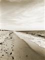 Picture of Walking the Shoreline  _GroupedProduct_Rectangle_Portrait_Photography _GroupedProduct_Rectangle_Portrait_Unframed_Print_Only_