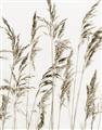 Picture of Wheat in the Wind III _GroupedProduct_Rectangle_Portrait_Photography _GroupedProduct_Rectangle_Portrait_Unframed_Print_Only_