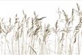 Picture of Wheat in the Wind IV _GroupedProduct_Rectangle_Landscape_Photography _GroupedProduct_Rectangle_Landscape_Unframed_Print_Only_