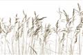 Picture of Wheat in the Wind IV _GroupedProduct_Rectangle_Landscape_Photography _GroupedProduct_Rectangle_Landscape_Unframed_Print_Only_