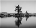 Picture of Mirrored Water _GroupedProduct_Rectangle_Landscape_Photography _GroupedProduct_Rectangle_Landscape_Unframed_Print_Only_
