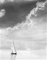 Picture of Sail Away _GroupedProduct_Rectangle_Portrait_Photography _GroupedProduct_Rectangle_Portrait_Unframed_Print_Only_