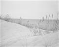 Picture of Sandy Beach  _GroupedProduct_Rectangle_Landscape_Photography _GroupedProduct_Rectangle_Landscape_Unframed_Print_Only_