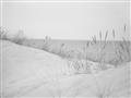 Picture of Sandy Beach  _GroupedProduct_Rectangle_Landscape_Photography _GroupedProduct_Rectangle_Landscape_Unframed_Print_Only_