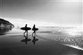 Picture of Surfs Up _GroupedProduct_Rectangle_Landscape_Photography _GroupedProduct_Rectangle_Landscape_Unframed_Print_Only_