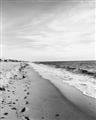 Picture of Walking the Shoreline  _GroupedProduct_Rectangle_Portrait_Photography _GroupedProduct_Rectangle_Portrait_Unframed_Print_Only_