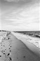 Picture of Walking the Shoreline  _GroupedProduct_Rectangle_Portrait_Photography _GroupedProduct_Rectangle_Portrait_Unframed_Print_Only_