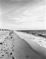 Picture of Walking the Shoreline  _GroupedProduct_Rectangle_Portrait_Photography _GroupedProduct_Rectangle_Portrait_Unframed_Print_Only_