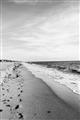 Picture of Walking the Shoreline  _GroupedProduct_Rectangle_Portrait_Photography _GroupedProduct_Rectangle_Portrait_Unframed_Print_Only_