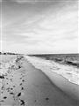 Picture of Walking the Shoreline  _GroupedProduct_Rectangle_Portrait_Photography _GroupedProduct_Rectangle_Portrait_Unframed_Print_Only_