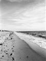 Picture of Walking the Shoreline  _GroupedProduct_Rectangle_Portrait_Photography _GroupedProduct_Rectangle_Portrait_Unframed_Print_Only_