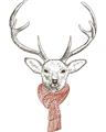 Picture of Cozy Deer _GroupedProduct_Rectangle_Portrait_Unframed_Print_Only_