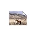 Picture of Lone Horse  _GroupedProduct_Rectangle_Landscape_Photography _GroupedProduct_Rectangle_Landscape_Unframed_Print_Only_