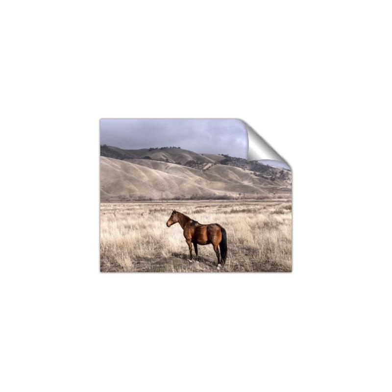 Picture of Lone Horse  _GroupedProduct_Rectangle_Landscape_Photography _GroupedProduct_Rectangle_Landscape_Unframed_Print_Only_