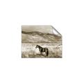 Picture of Lone Horse  _GroupedProduct_Rectangle_Landscape_Photography _GroupedProduct_Rectangle_Landscape_Unframed_Print_Only_