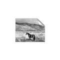 Picture of Lone Horse  _GroupedProduct_Rectangle_Landscape_Photography _GroupedProduct_Rectangle_Landscape_Unframed_Print_Only_