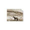 Picture of Lone Horse  _GroupedProduct_Rectangle_Landscape_Photography _GroupedProduct_Rectangle_Landscape_Unframed_Print_Only_