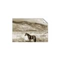 Picture of Lone Horse  _GroupedProduct_Rectangle_Landscape_Photography _GroupedProduct_Rectangle_Landscape_Unframed_Print_Only_