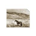 Picture of Lone Horse  _GroupedProduct_Rectangle_Landscape_Photography _GroupedProduct_Rectangle_Landscape_Unframed_Print_Only_
