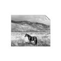 Picture of Lone Horse  _GroupedProduct_Rectangle_Landscape_Photography _GroupedProduct_Rectangle_Landscape_Unframed_Print_Only_