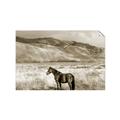Picture of Lone Horse  _GroupedProduct_Rectangle_Landscape_Photography _GroupedProduct_Rectangle_Landscape_Unframed_Print_Only_