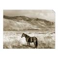 Picture of Lone Horse  _GroupedProduct_Rectangle_Landscape_Photography _GroupedProduct_Rectangle_Landscape_Unframed_Print_Only_