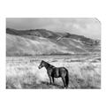 Picture of Lone Horse  _GroupedProduct_Rectangle_Landscape_Photography _GroupedProduct_Rectangle_Landscape_Unframed_Print_Only_