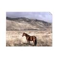 Picture of Lone Horse  _GroupedProduct_Rectangle_Landscape_Photography _GroupedProduct_Rectangle_Landscape_Unframed_Print_Only_