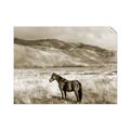 Picture of Lone Horse  _GroupedProduct_Rectangle_Landscape_Photography _GroupedProduct_Rectangle_Landscape_Unframed_Print_Only_