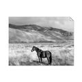 Picture of Lone Horse  _GroupedProduct_Rectangle_Landscape_Photography _GroupedProduct_Rectangle_Landscape_Unframed_Print_Only_