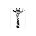 Picture of Long Neck II _GroupedProduct_Rectangle_Portrait_Photography _GroupedProduct_Rectangle_Portrait_Unframed_Print_Only_