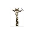 Picture of Long Neck II _GroupedProduct_Rectangle_Portrait_Photography _GroupedProduct_Rectangle_Portrait_Unframed_Print_Only_