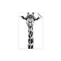 Picture of Long Neck II _GroupedProduct_Rectangle_Portrait_Photography _GroupedProduct_Rectangle_Portrait_Unframed_Print_Only_